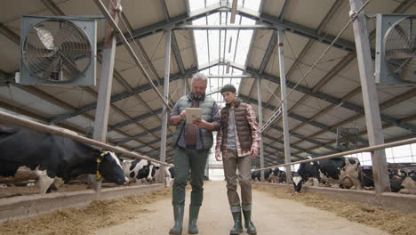 man and his teenage son walking through dairy farm