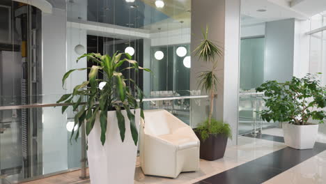 a modern indoor setting featuring five potted plants positioned on either side of a glass elevator. a white chair is in the background, along with large windows and glass railings