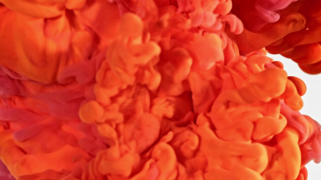 Levende lyserøde og orange blækskyer hvirvlende i klart vand