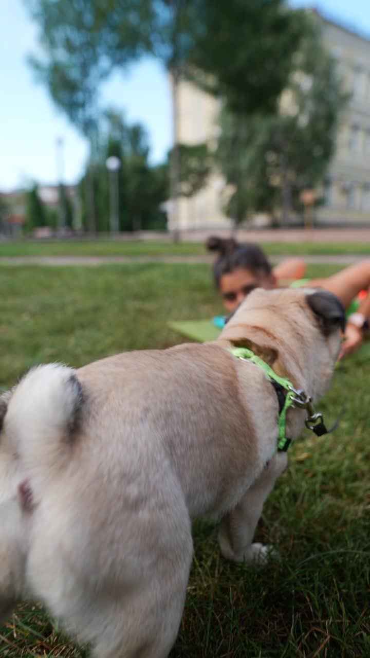 공원 에서 개 와 함께 요가 를 하는 여자