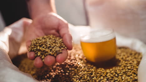 animation of palm with grains and mug of beer