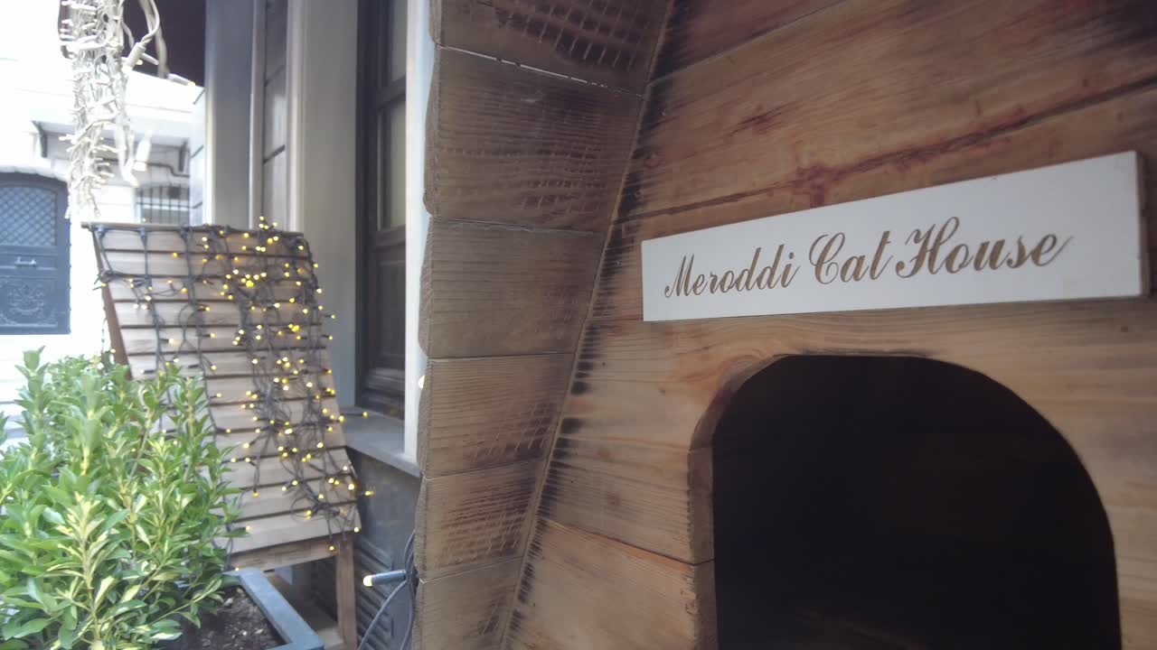 귀여운 나무 고양이 집 장식