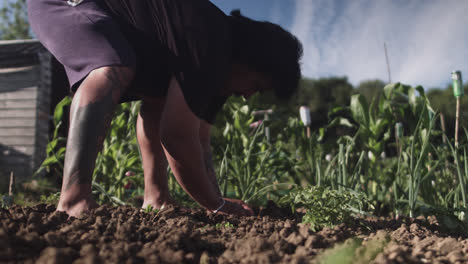 Hombre-Latino-Agachado-En-Un-Huerto-Preparando-El-Suelo-Para-Cultivar-Plantas-A-La-Luz-Del-Día