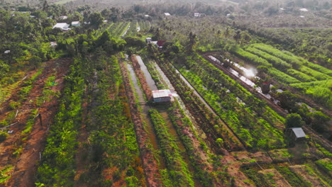 Discover-the-idyllic-charm-of-rural-life-with-this-aerial-shot-of-a-quaint,-secluded-farmhouse