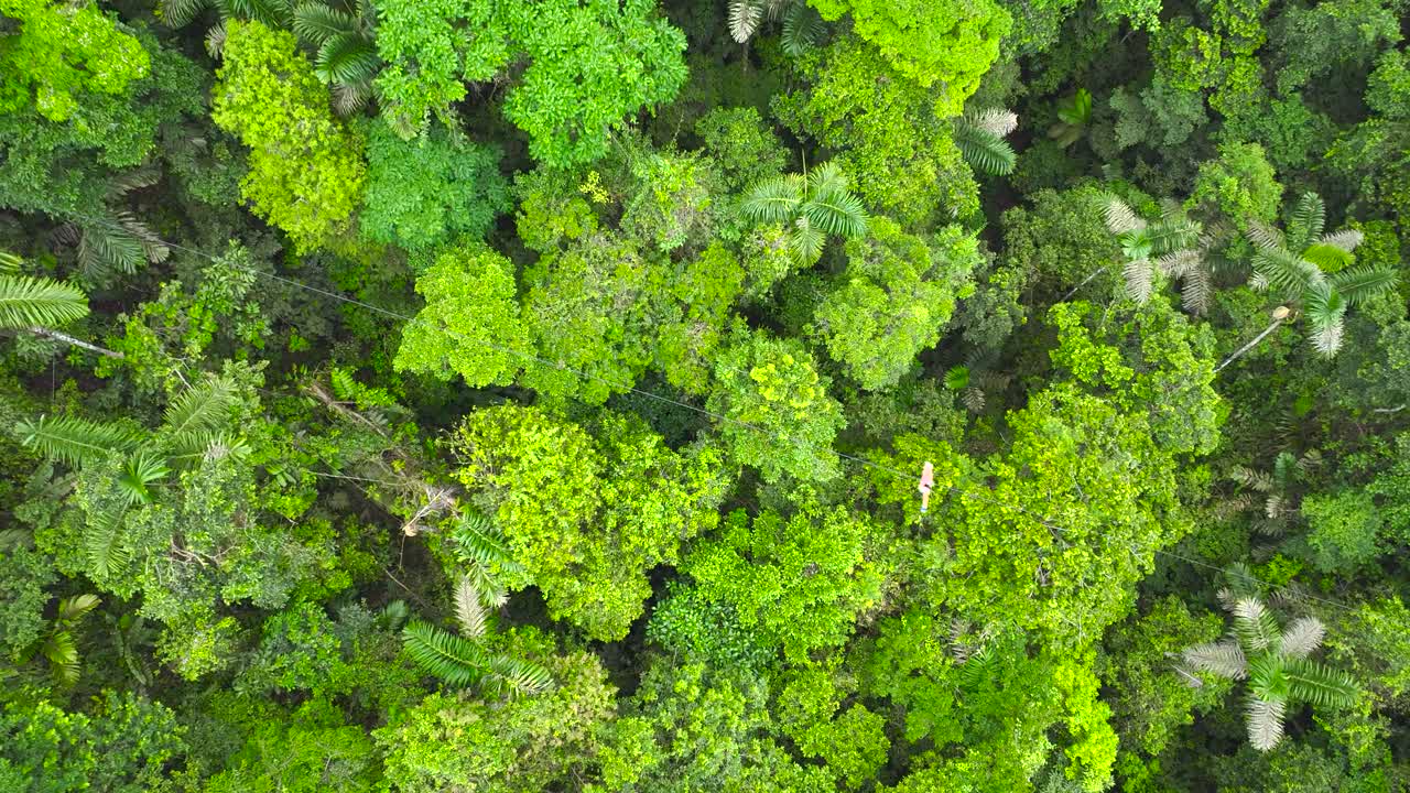una persona que baja de una montaña al valle en una tirolina suspendida, rodeada de vegetación exuberante