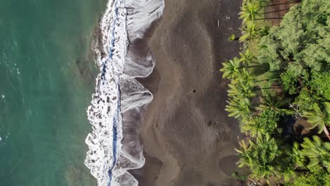 Sandy-beach-between-pristine-waters-and-lush-palm-forest,-Plage-de-Grande-Anse,-Guadeloupe,-French-Caribbean