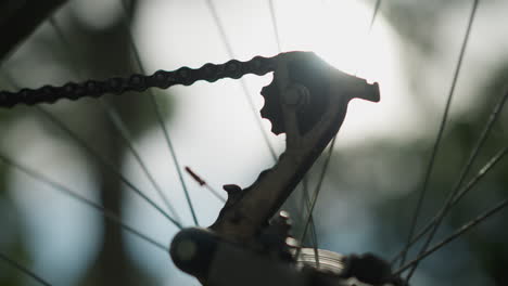 close-up of bicycle rear wheel and gear system with chain rotating slowly in sunlight, chain and cogwheel in sharp focus while greenery in background softly blurred