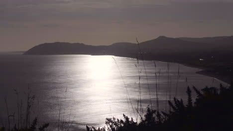 Morning-Sun-Reflects-And-Illuminates-At-Calm-River-Water-Surface-In-South-Ireland-Near-Dublin