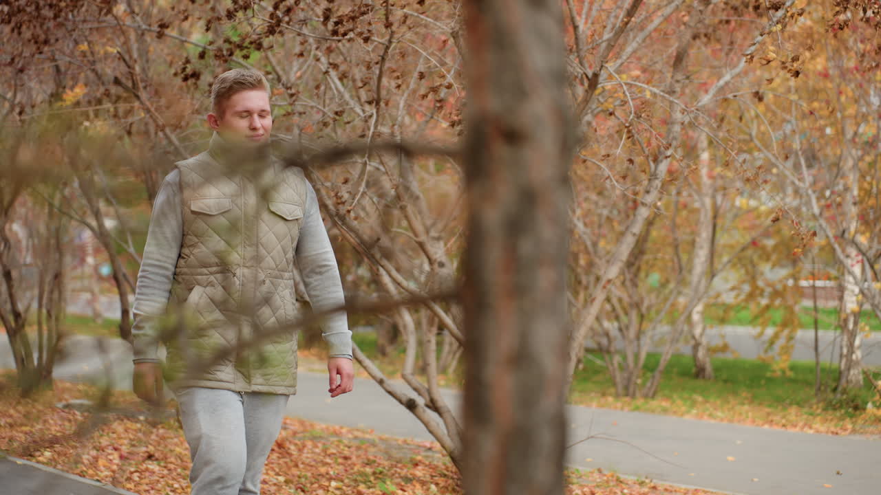 Close up of autumn tree with wind blowing colorful foliage as young man walks past with warm smile on face, dry leaves covering ground, car passing across background