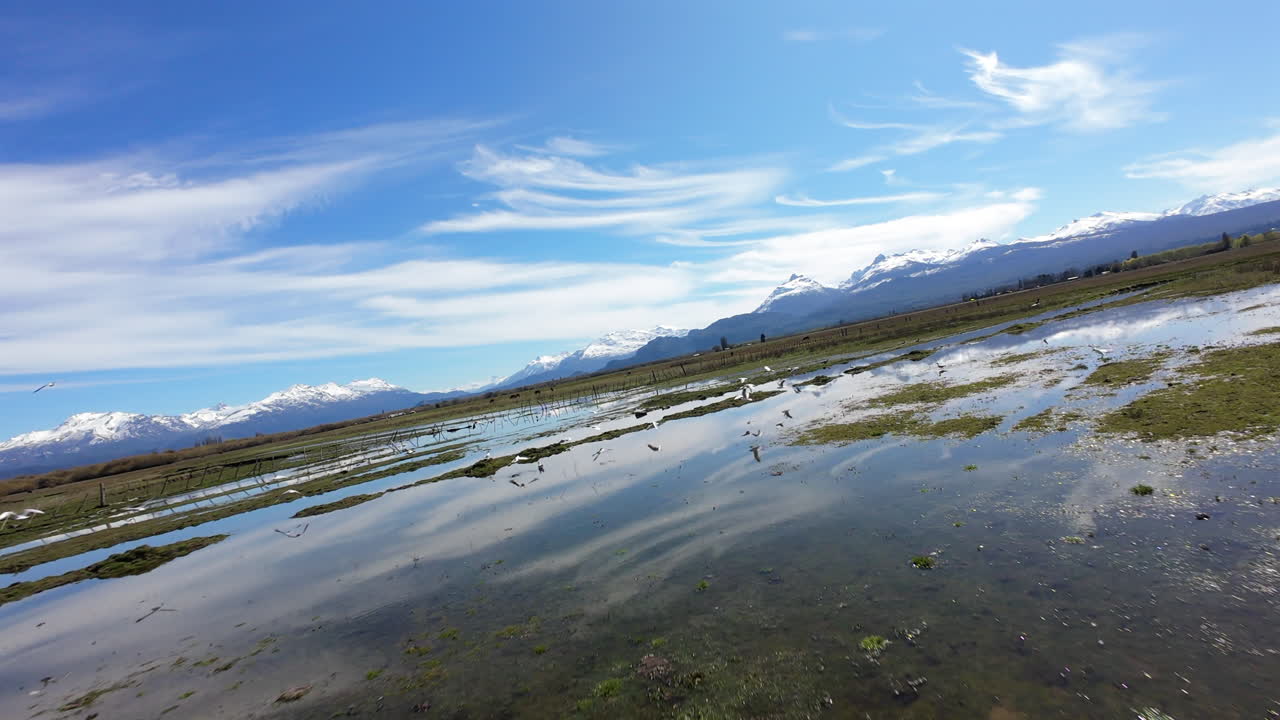 Amazing scenic wetland reflections by following some birds, Argentina.