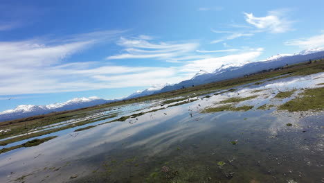 increíbles reflejos panorámicos de humedales siguiendo a algunas aves, argentina.