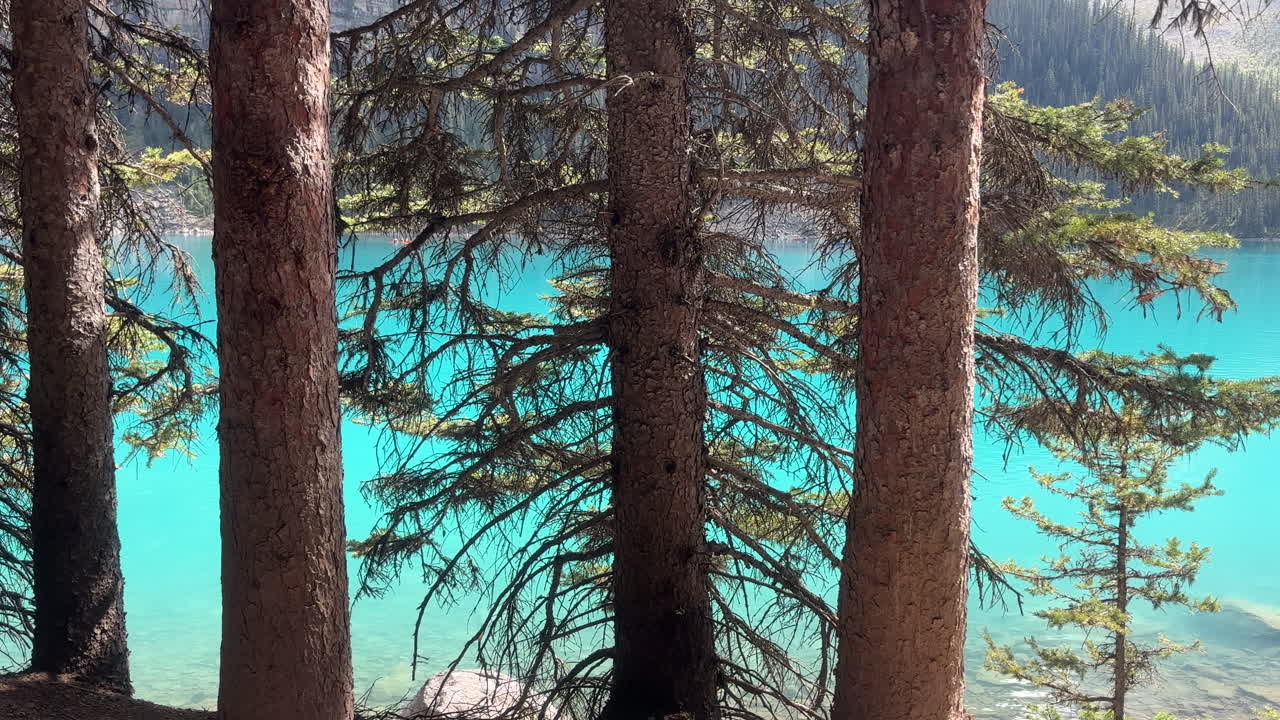 Beautiful Turquoise Lake Surrounded by Pine Trees