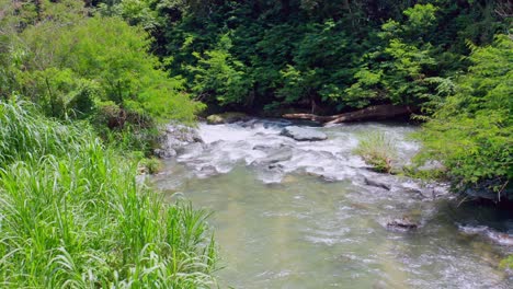 River-Stream-In-Spring-Forest,-Jimenoa-River-In-Jarabacoa,-Dominican-Republic---aerial-shot