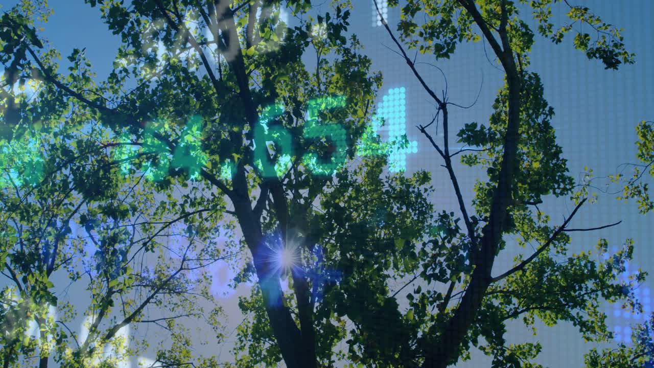 Sunlight appearing causing tall tree canopy framing sky while cyan digits pulsing, aiding tech