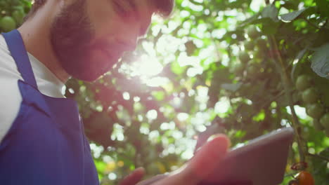 agribusiness owner checking growth level technological device in farm closeup