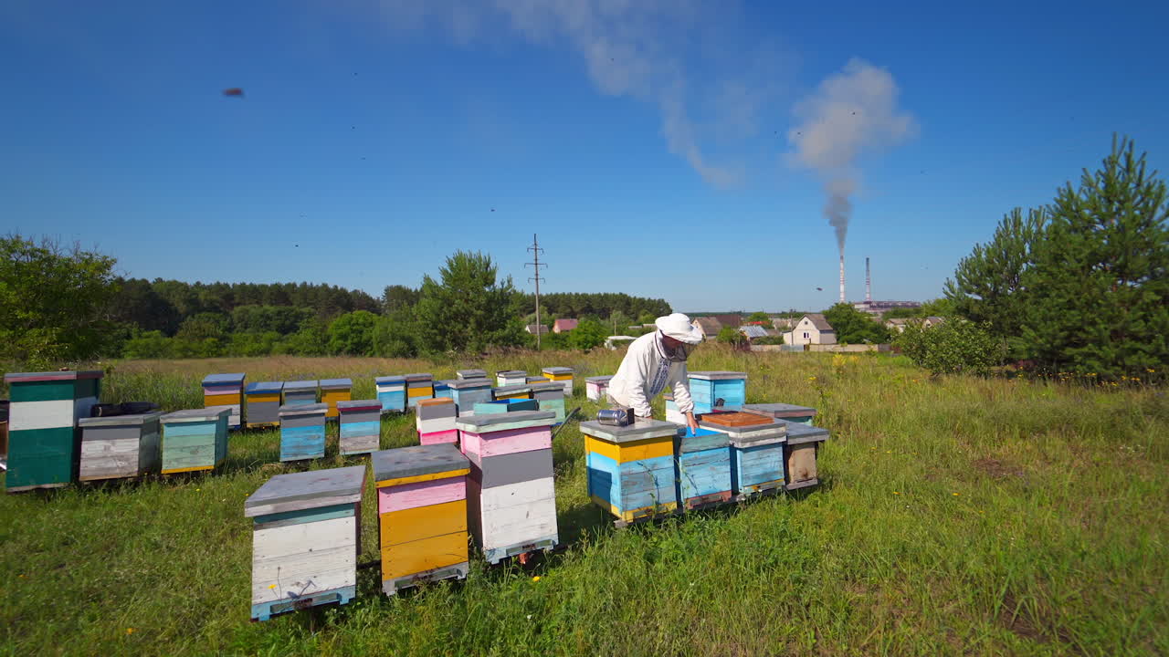 Apiary on the background of countryside. Beekeeper works on the apiary in a bright summer day. Wooden beehives on green grass.