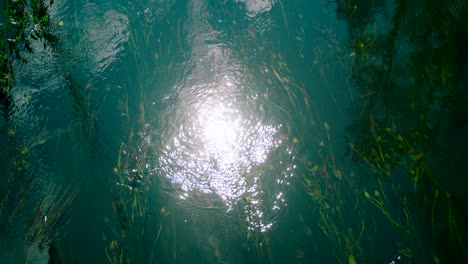 das klare wasser des ruhigen flusses