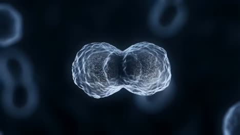 abstract microscopic view of cellular organisms