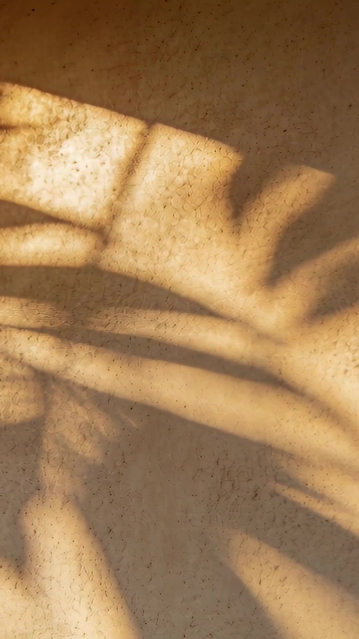 Vertical video: Sunlight moving palm frond shadow shifting across warm plaster wall, window patch