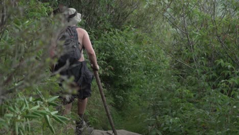 hiker walking down trail with walking stick slow motion