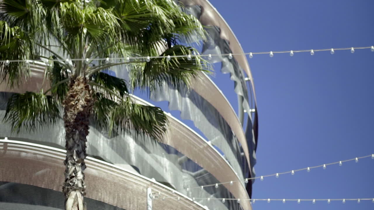 Palm Tree and Modern Building with String Lights Against Blue Sky