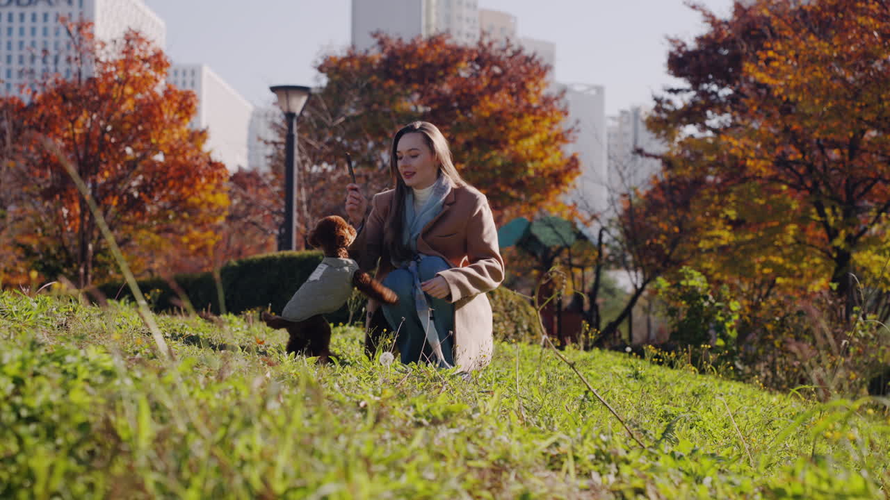Woman Walking Her Toy Poodle in an Autumn Park