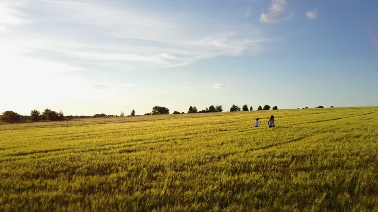 Mother And Son At Wheat Field. Aerial view of mother walking with her son at wheat field in sunny day