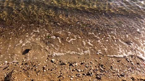 waves gently washing over sandy beach