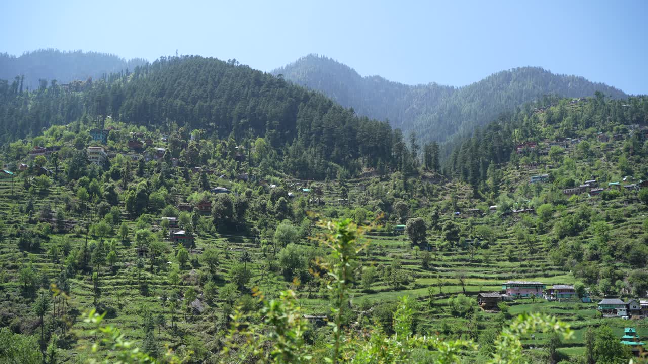 Plants, houses and natural diversity of the mountainous region.