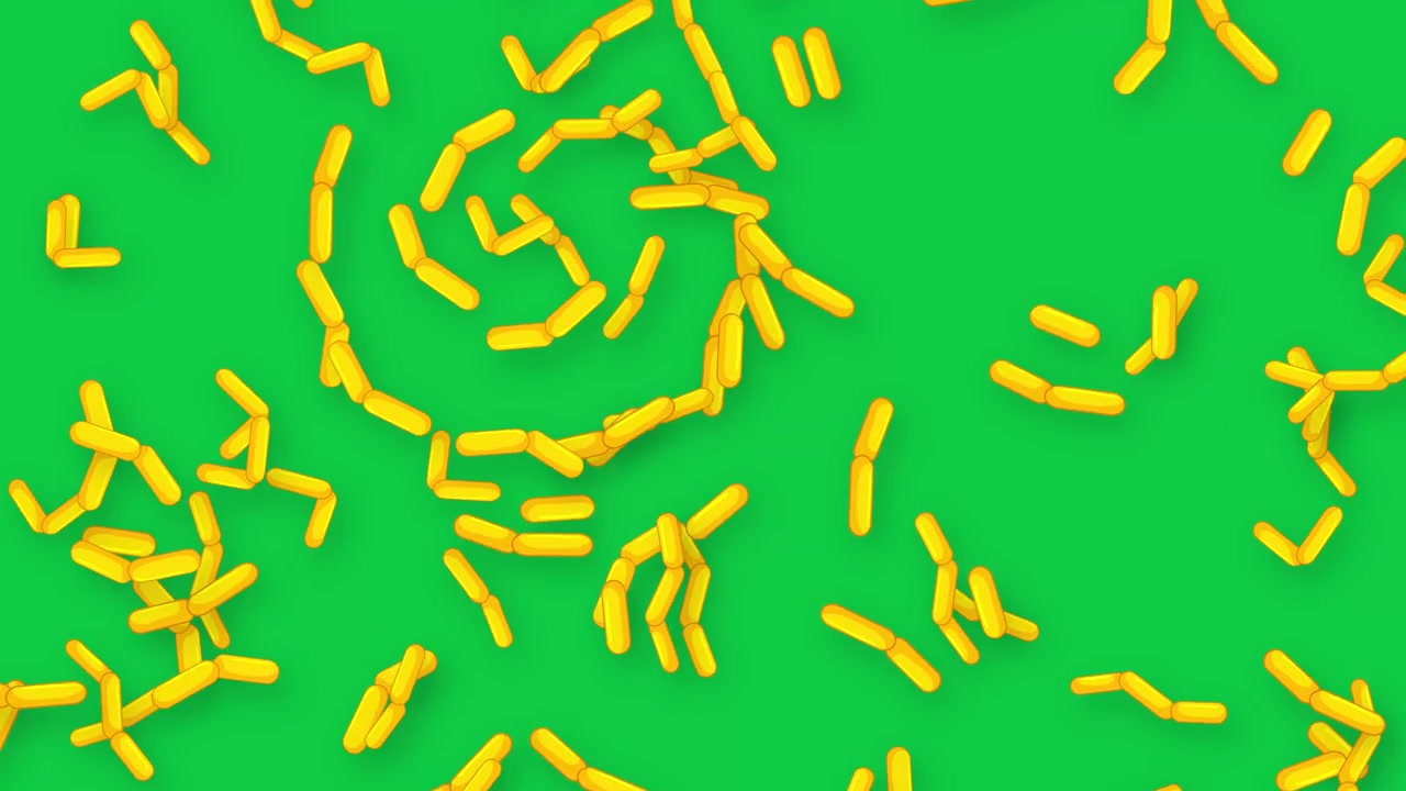 Microscopic yellow rod-shaped bacteria falling and tumbling against a solid green background in 3D animation.