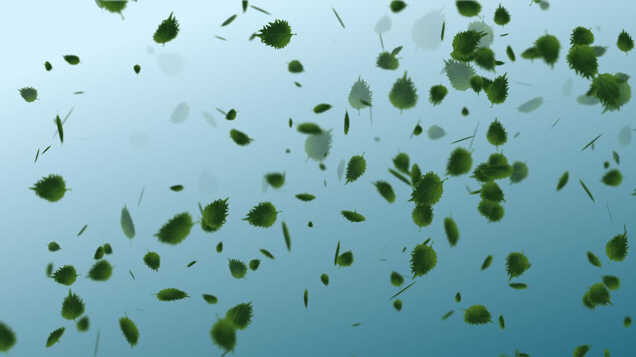 떨어지는 잎의 애니메이션 루프 가을