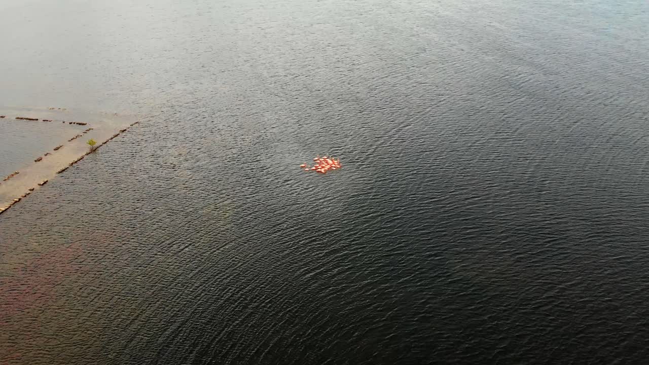 솔트 레이크에 있는 플라밍고의 헬릭스 공중과 매빅 에어로 촬영