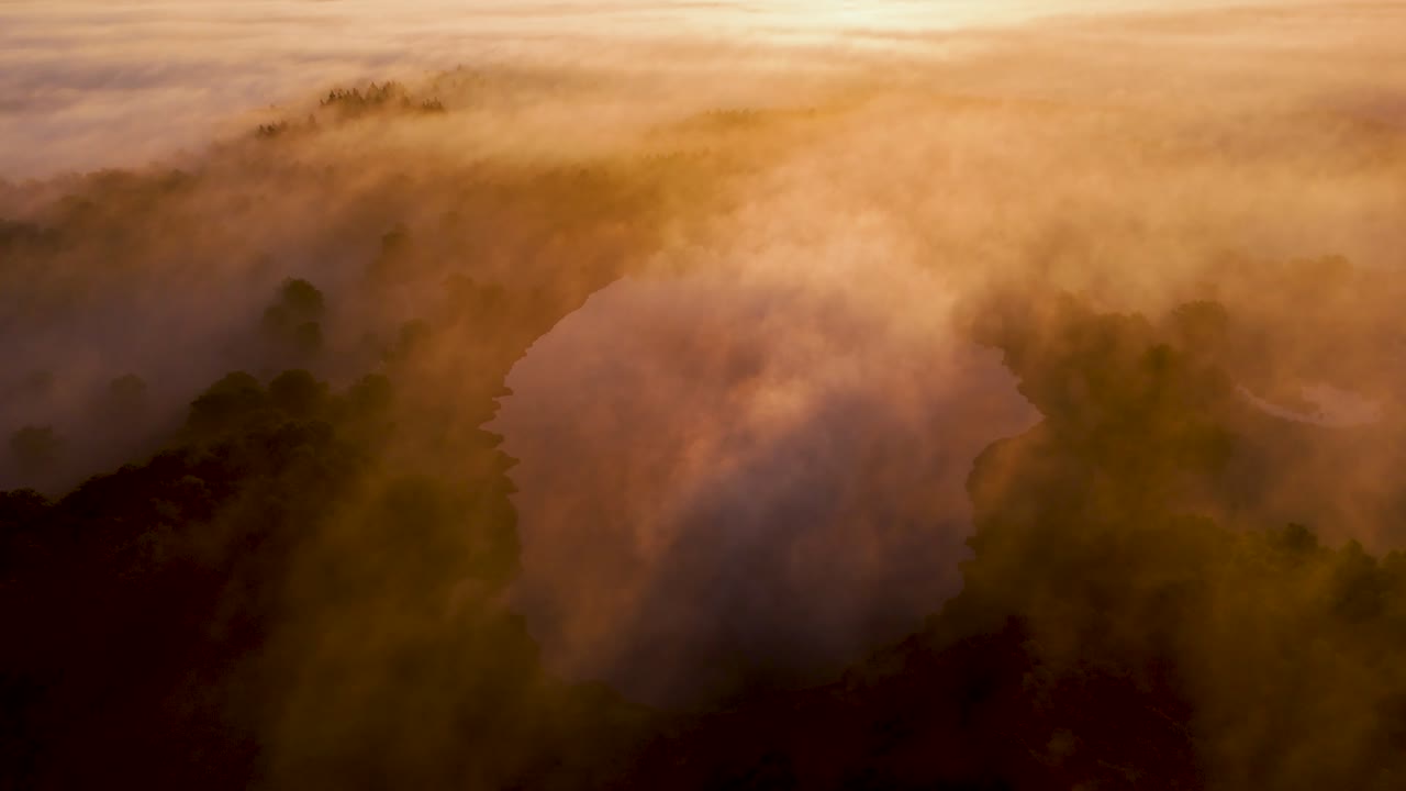 Aerial View of Misty Forest and Lake at Golden Hour