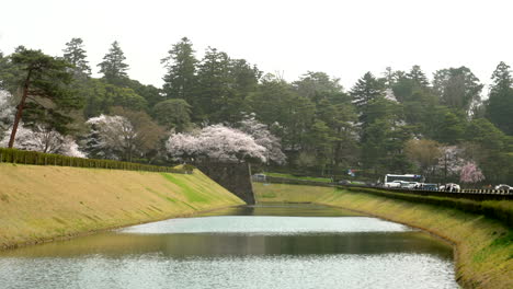 scenic view of kanazawa prefecture during the sakura season - wide shot