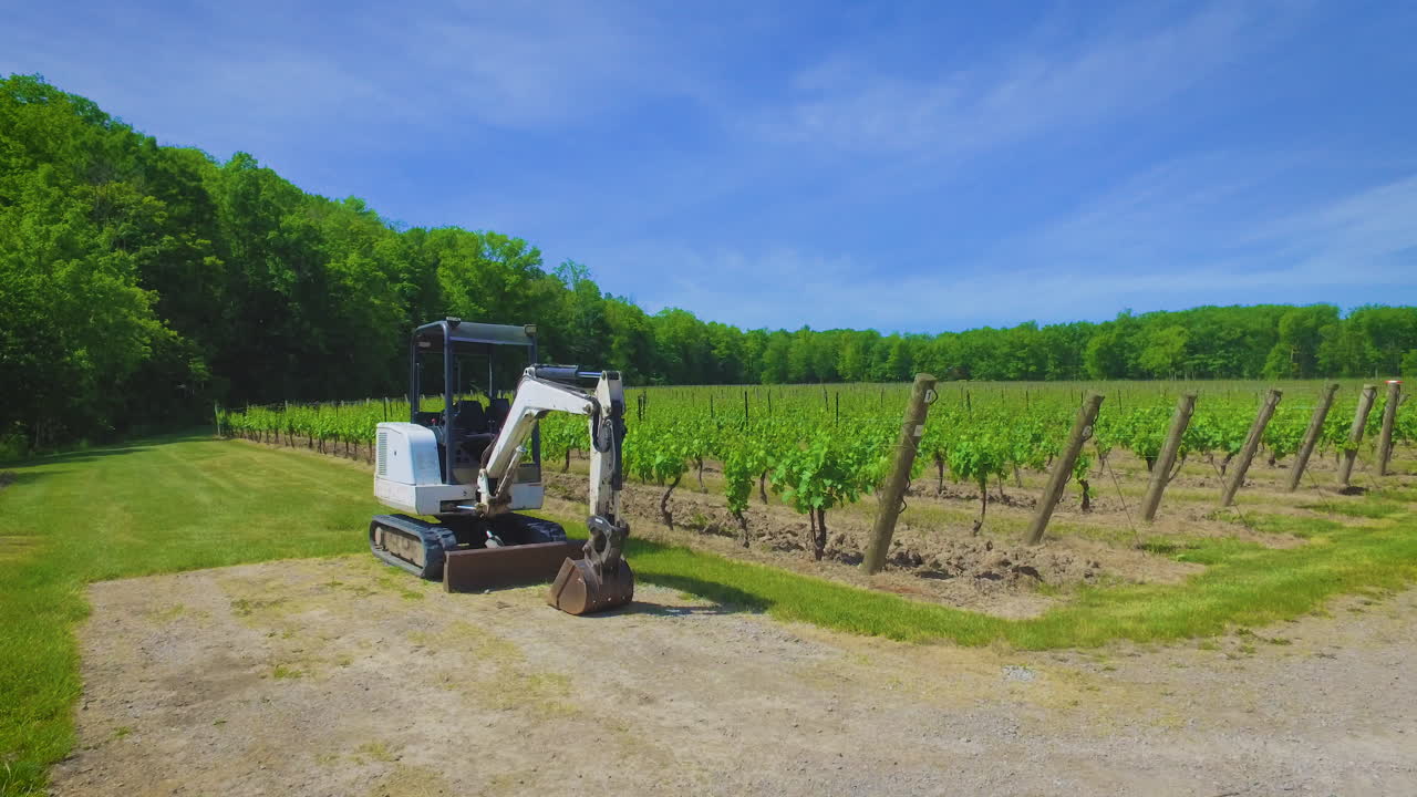 A small tractor sitting beside rows of vineyard grapes