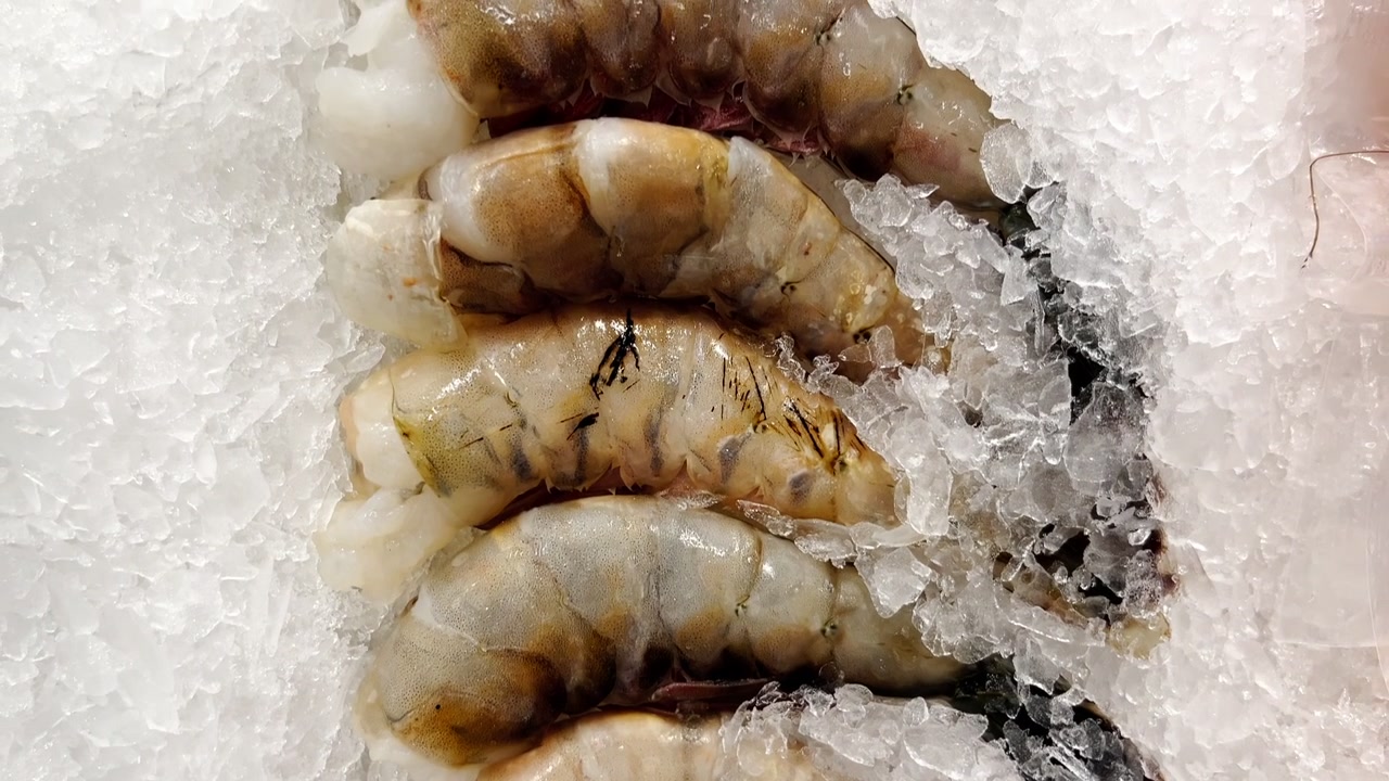Panoramica a mano su gamberi sul ghiaccio, frutti di mare freschi esposti per la vendita.
