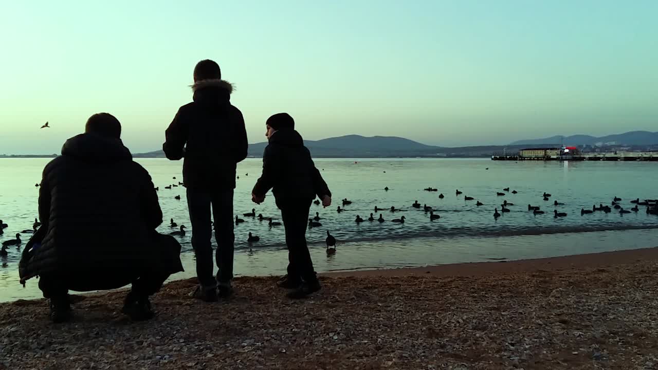 해가 지는 해변 에서 오리 를 지켜보는 가족