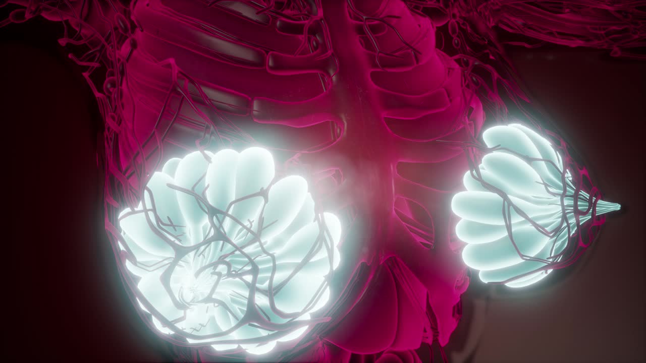 눈에 보이는 빛을 가진 인간의 몸 유방선