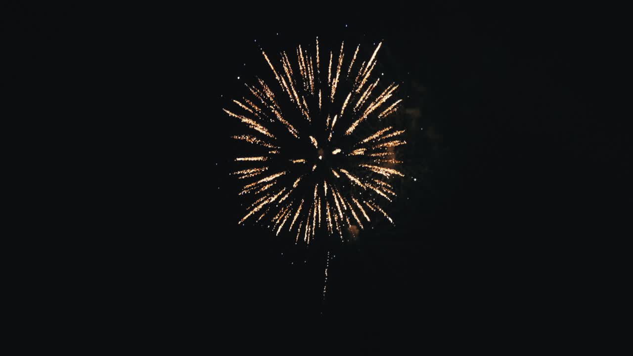 Spettacolo di fuochi d'artificio di notte