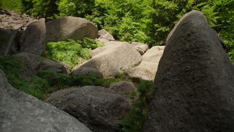 felsenmeer in odenwald sea of rocks wood nature landscape tourism on a sunny day steady close up shot