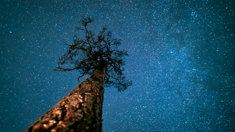 Satelliten-Schießen-über-Den-Sternenklaren-Nachthimmel-Mit-Wolken-über-Einem-Einzelnen-Baum