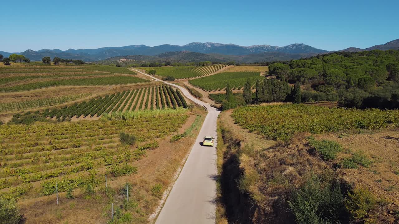 Riprese aeree di un'auto che attraversa vigneti lussureggianti con i Pirenei catalani sullo sfondo.
