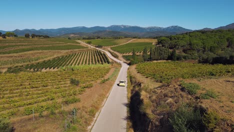 Imágenes-Aéreas-De-Un-Automóvil-Conduciendo-A-Través-De-Exuberantes-Viñedos-Con-El-Pirineo-Catalán-Al-Fondo.