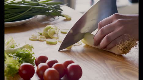 chopping leeks and tomatoes