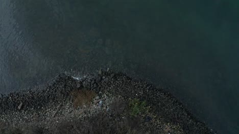 The-shoreline-of-the-bay-in-natural-cloudy-sunlight