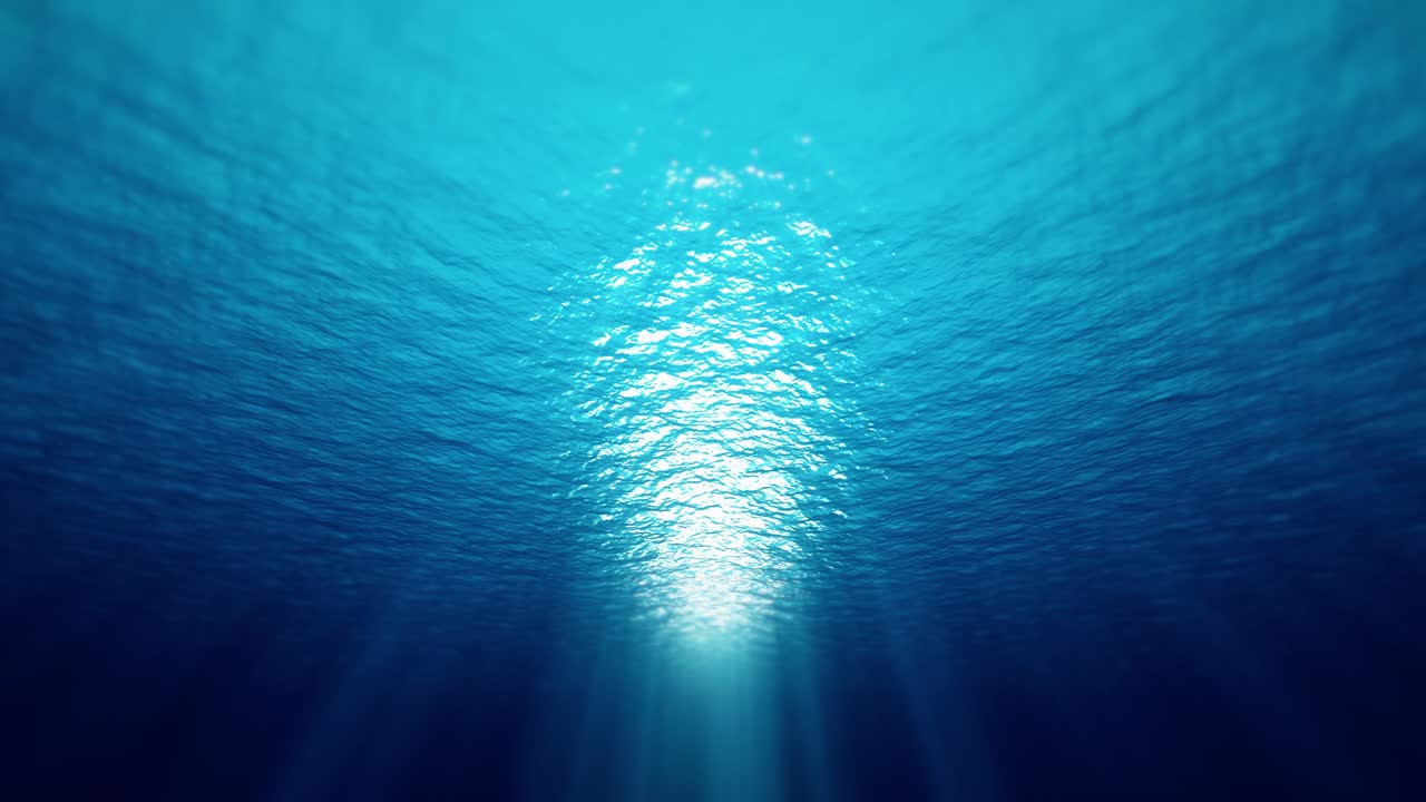 바다의 물과 빛 아래에서 완벽한 루프