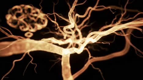this captivating display illustrates the complex connections of neurons within the human brain.