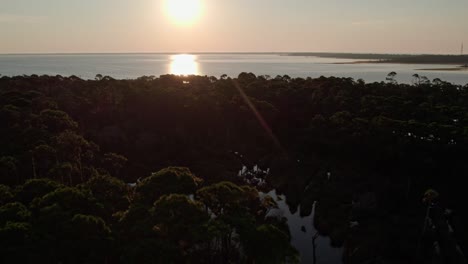 aerial flight over dense florida forest and marshes towards a large bay