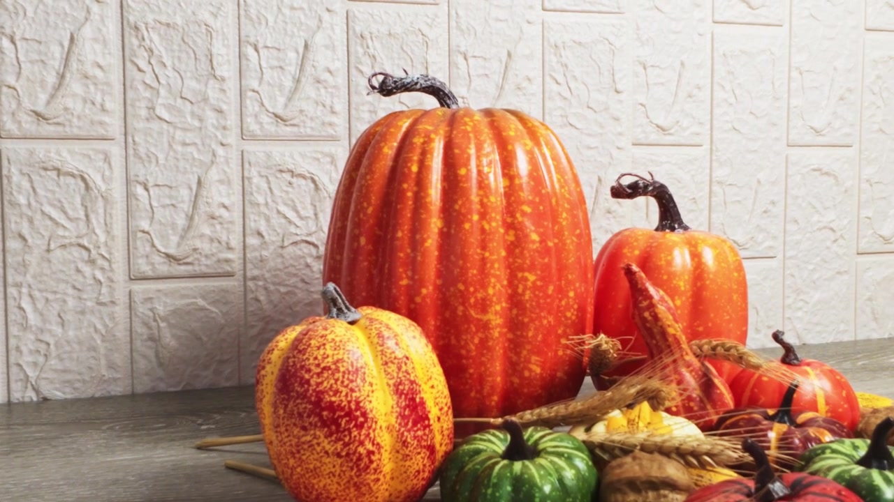 Assorted Decorative Pumpkins and Gourds for Autumn Harvest Display