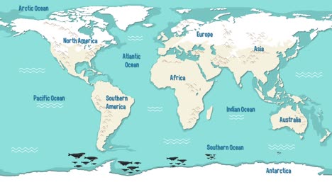 animated map showing global data transfer paths